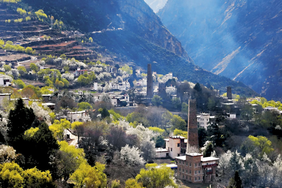 ◆中路藏寨中梨花與碉樓相映