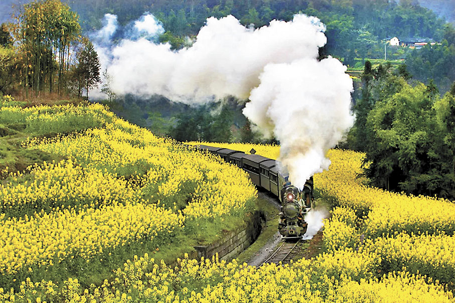 ◆犍為嘉陽小火車穿行在油菜花盛開的田野裏。