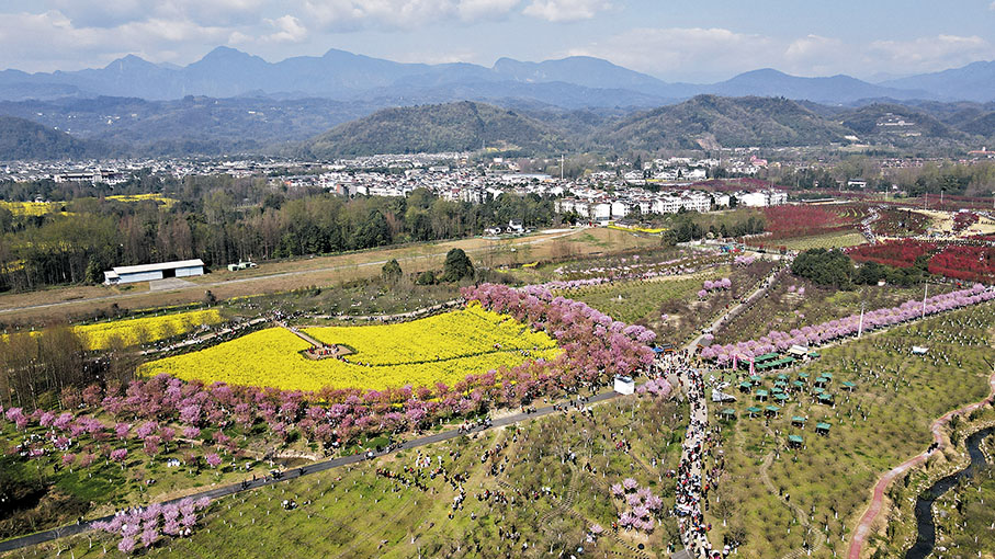 ◆都江堰市青城山鎮「問花村」景色