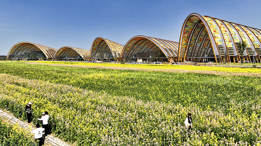 ◆在新津區的中國天府農業博覽園春意濃濃。
