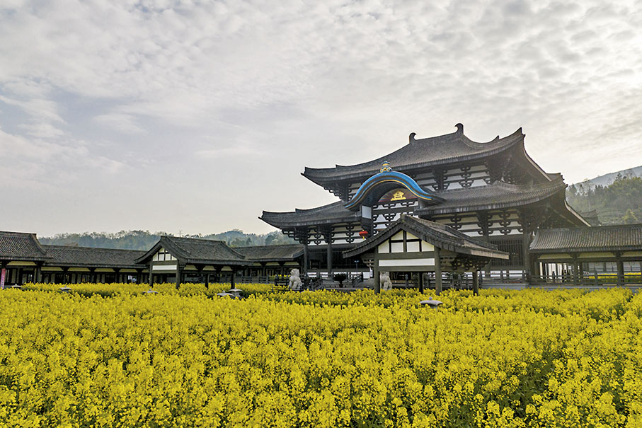 ◆洪雅縣柳江古鎮光明寺內盛開的油菜花花香四溢。