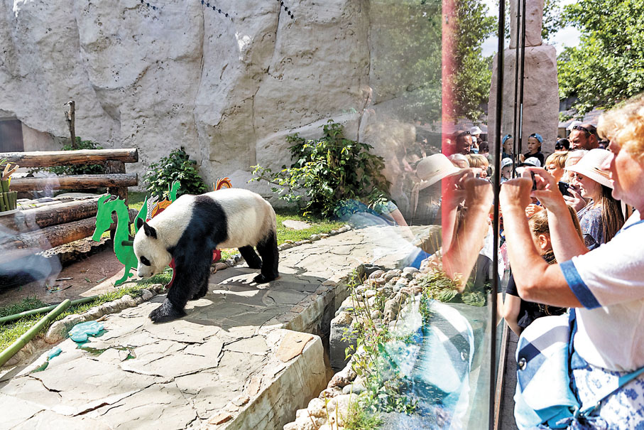 ◆2022年7月31日，人們在俄羅斯莫斯科動物園觀看中國大熊貓「如意」。新華社