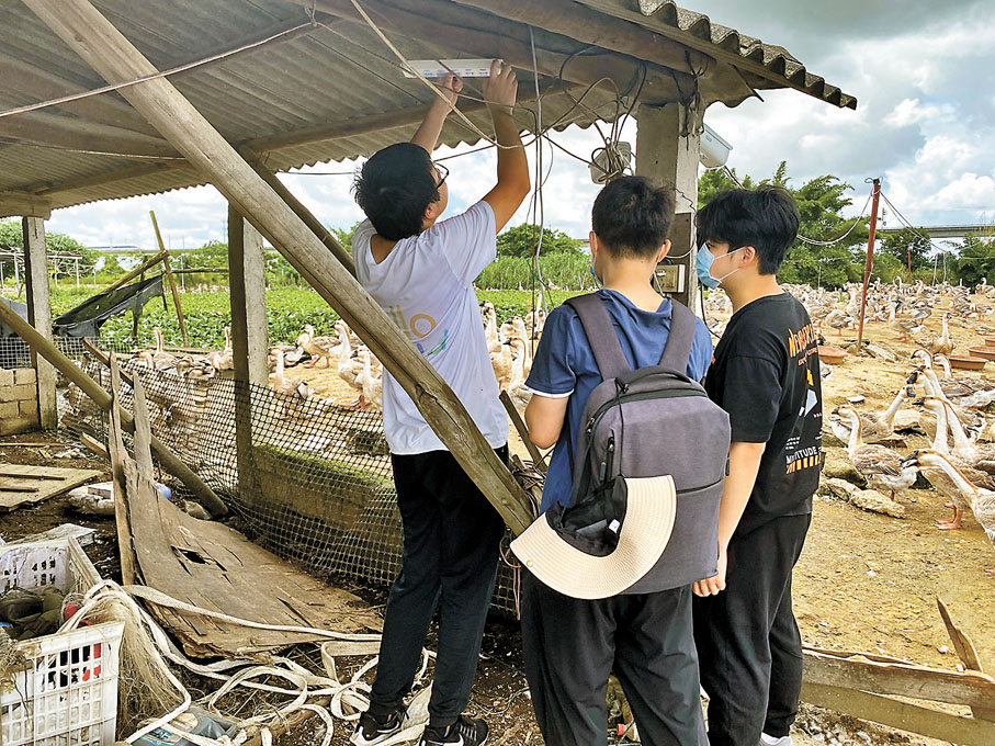 ◆學生們為鵝棚安裝攝像頭。