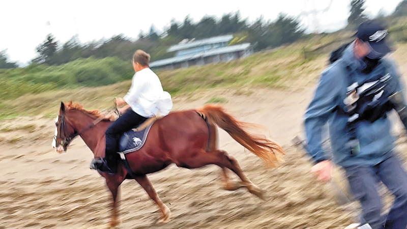 ◆馬匹失控衝向小樹林，工作人員慌忙走避。