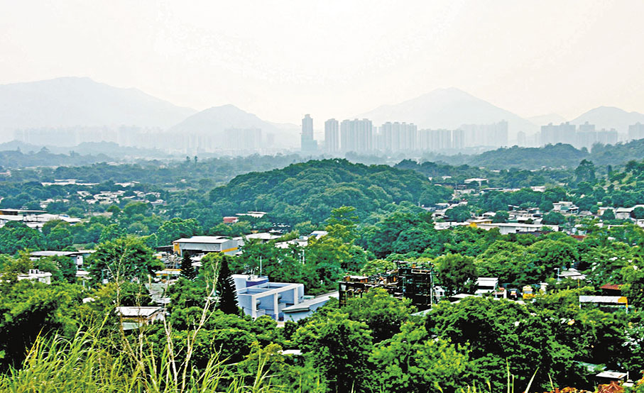 ◆申請人指，坪輋項目能捉緊與大灣區城市日益增長的經濟互動，及「北部都會區」長遠發展所帶來的機遇。 資料圖片