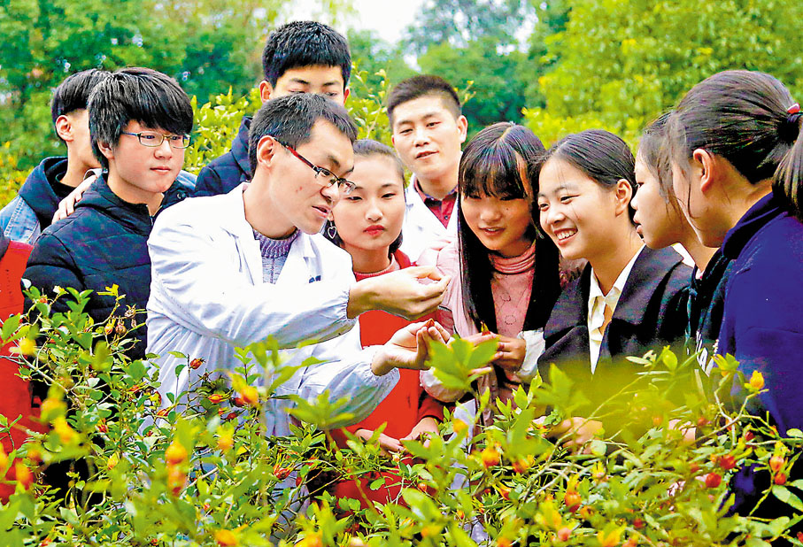 ◆技術人員向學生們講解中藥材知識。