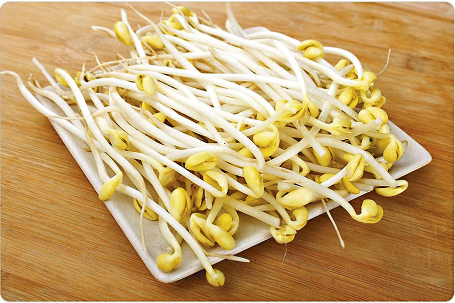 ◆新鮮蔬菜如菠菜、豆芽等。