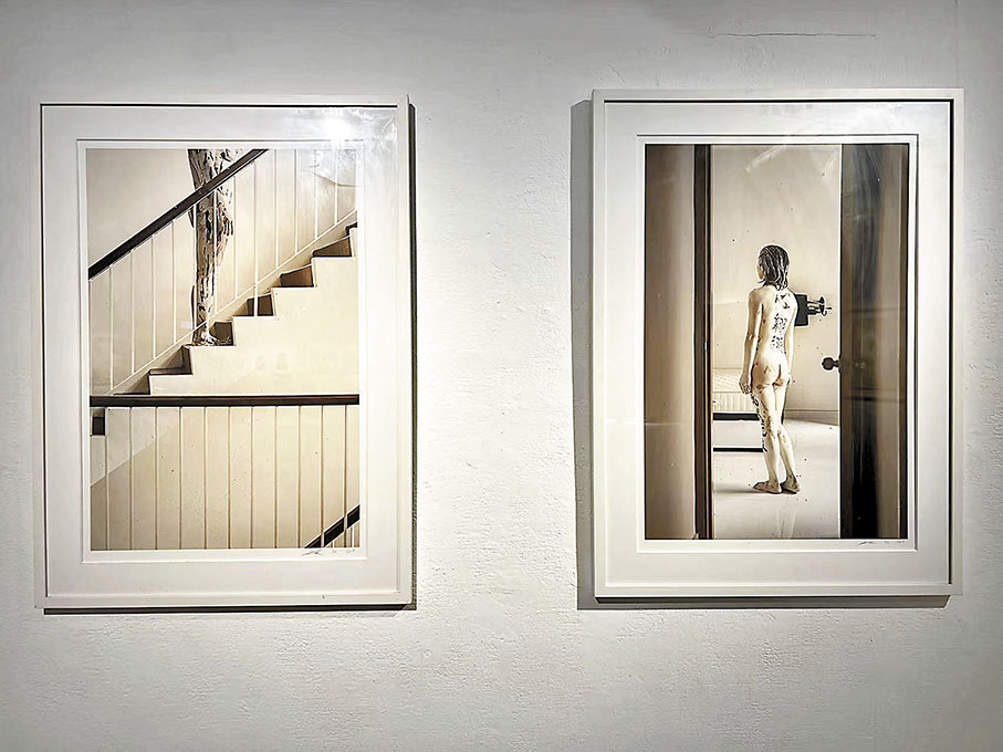 ◆Katie Vajda 《The body domestic》