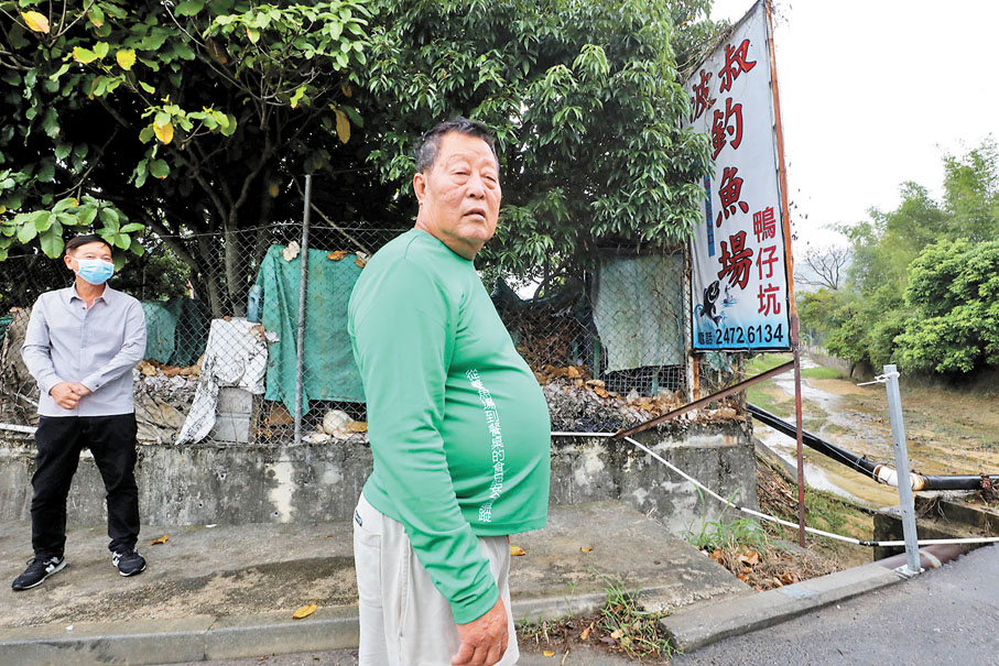 ◆波叔慨嘆年前曾被洪水沖走數百條龍躉。 香港文匯報記者  攝