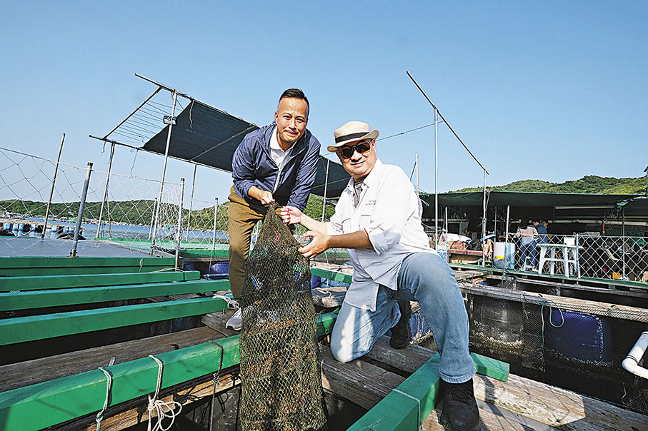 ◆梁錦明(左)、甄華達(右)展示在魚排養殖的珍珠蚌。 香港文匯報記者涂穴  攝