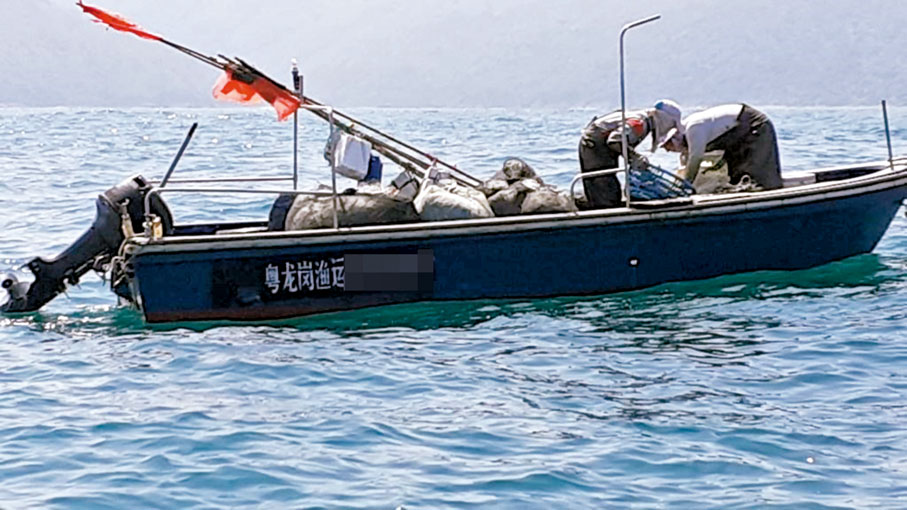 ◆ 不時有內地漁民闖入香港水域疑非法用拖網捕魚。 受訪者供圖