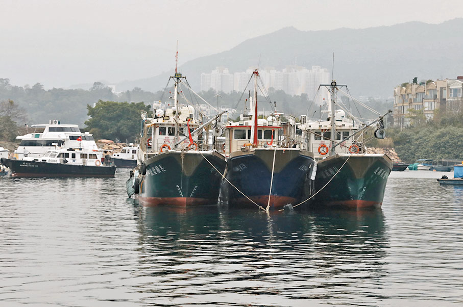 ◆守法漁民的漁獲量因非法拖網捕魚而急跌七八成，收入大減。 香港文匯報記者郭木又 攝