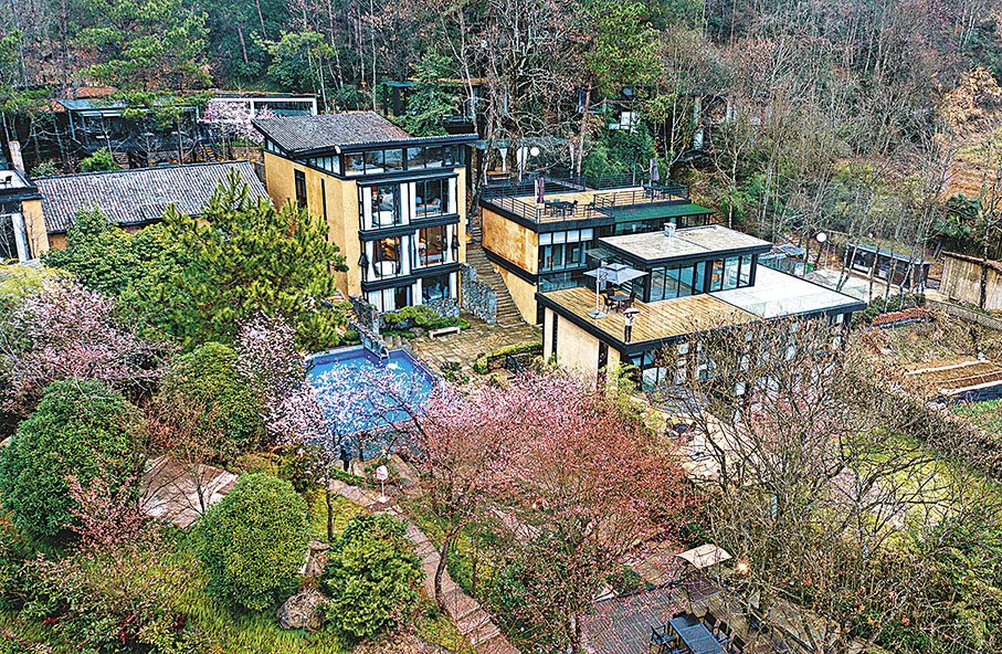 ◆三都鎮前源村山頂一家被櫻花樹包圍的民宿