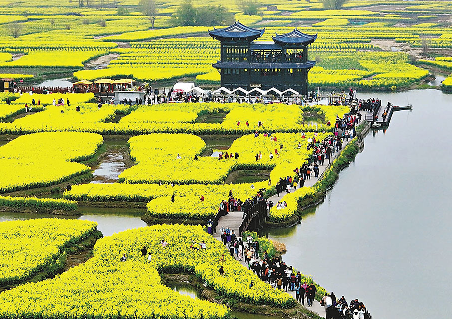 ◆遊人在江蘇省興化市千垛菜花景區賞花遊玩。