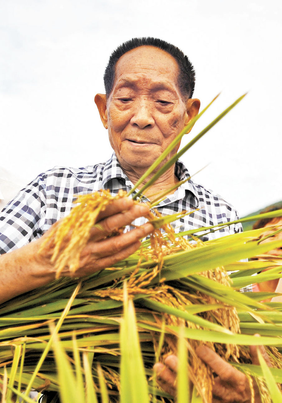 ◆ 袁隆平。 資料圖片