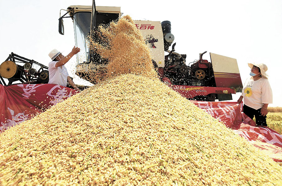 ◆ 糧食安全事關國運民生，亦是國家安全的重要基礎。