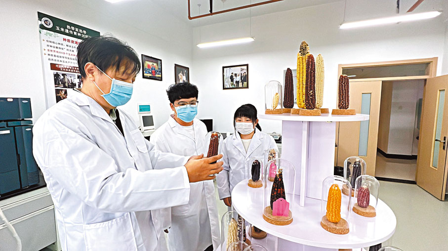 ◆ 番興明（左一）指導學生進行育種研究。 香港文匯報記者譚旻煦  攝