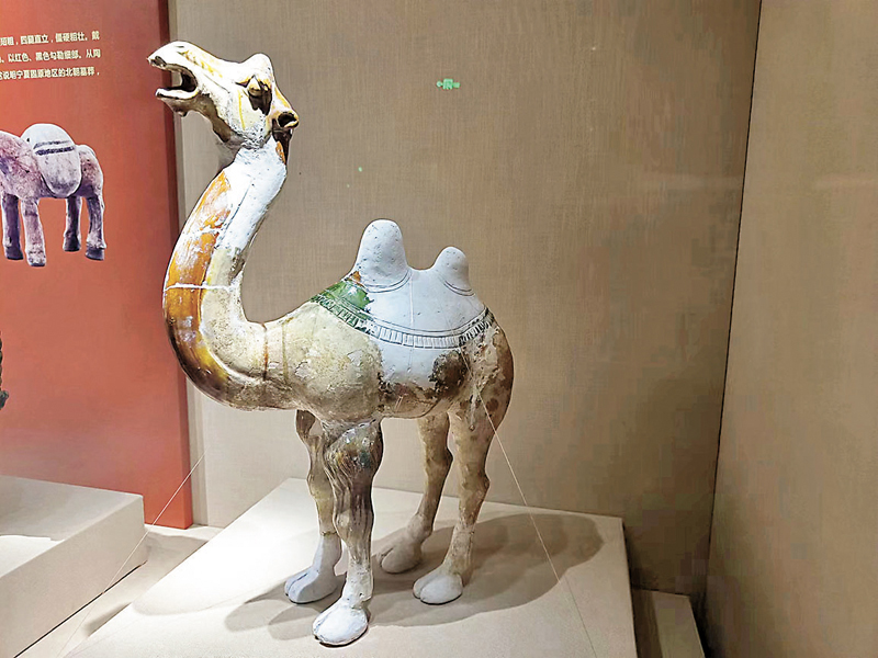 ◆館藏國家一級文物：唐代三彩駱駝