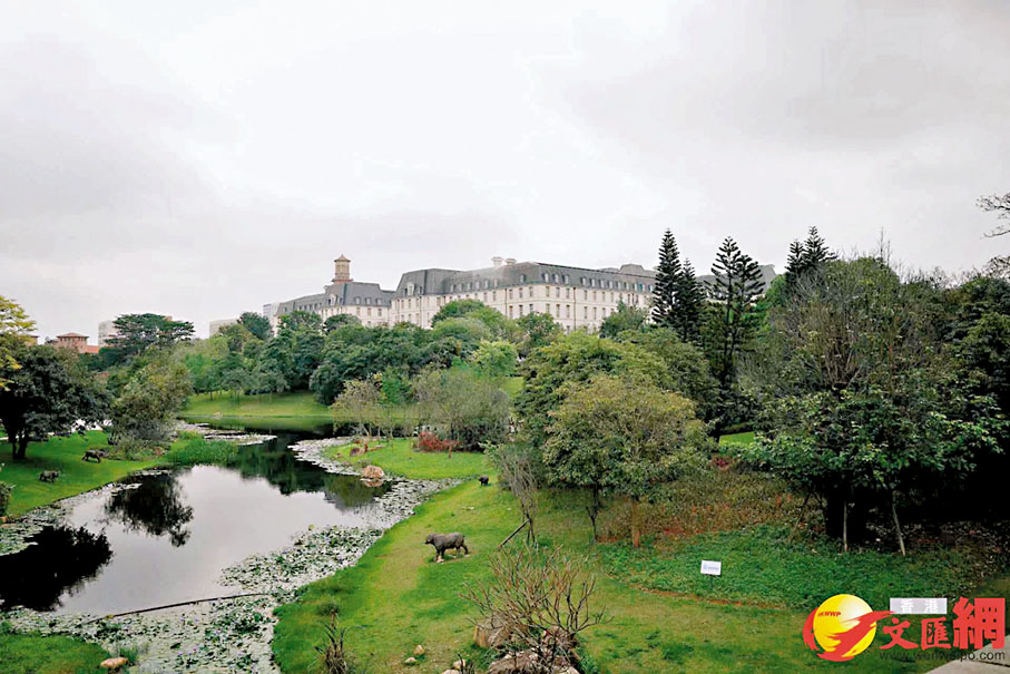 ◆ 華為員工生活環境怡人。香港文匯報記者黃書蘭 攝