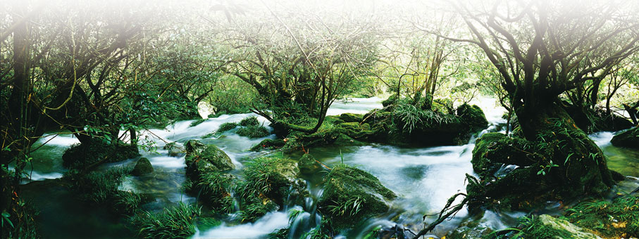 ◆ 荔波小七孔水上森林。荔波也被作為「特意性」資源，將獲重點支持。