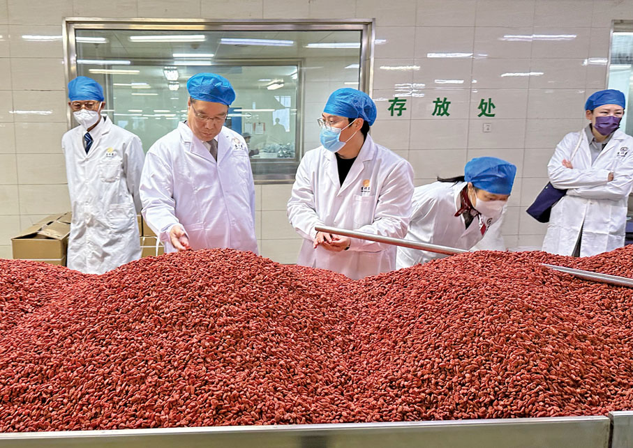 ◆ 參觀北京仟草中藥飲片廠。