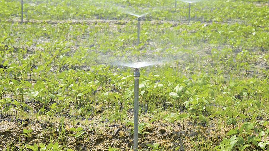 ◆ 農業園內的灌溉設施。