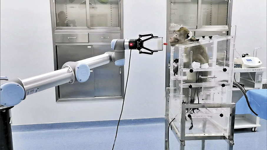 ◆全球首例非人靈長類動物介入式腦機接口試驗,通過介入式腦機接口實現動物主動控制機械臂。 香港文匯報天津傳真