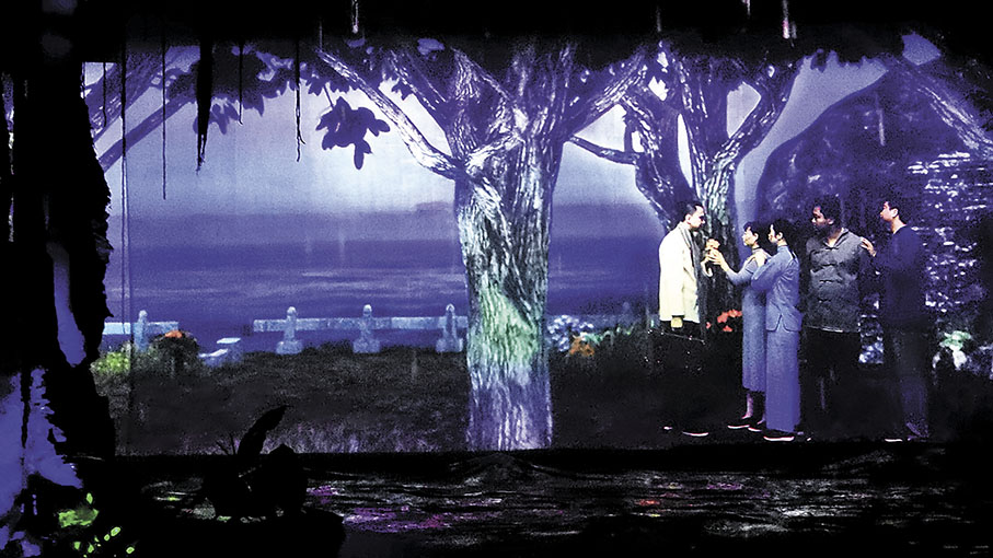 ◆館有視像介紹陳皮廣泛應用發展階段。