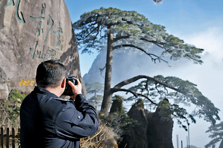 ◆ 黃山「迎客松」。資料圖片