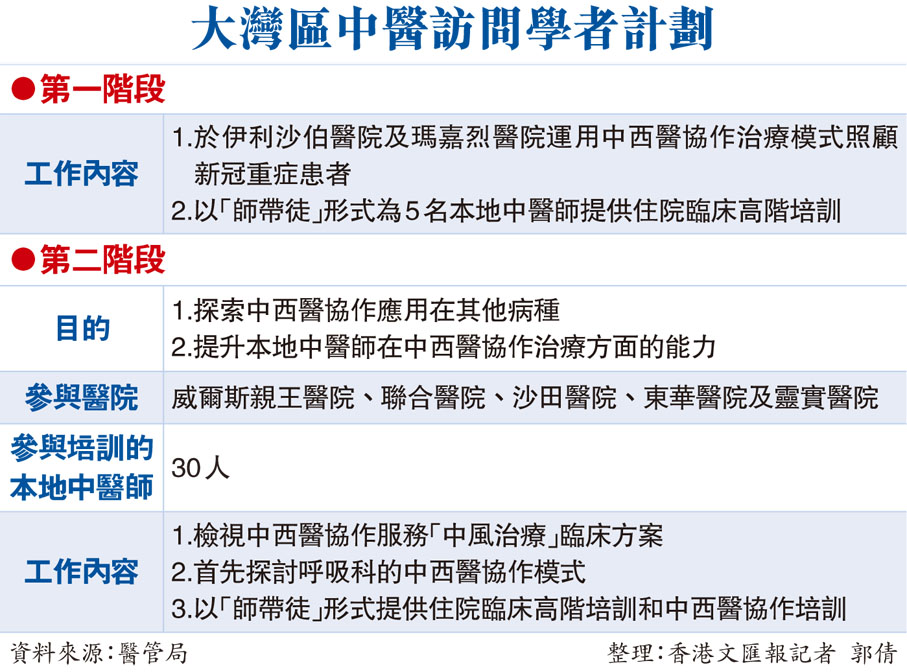 大灣區中醫訪問學者計劃