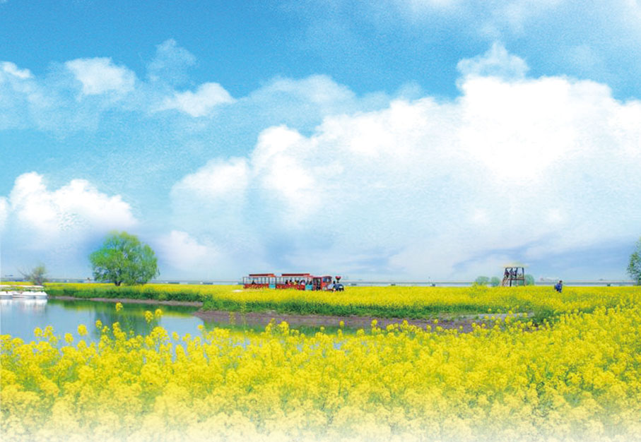 ◆ 湖上花海景區。