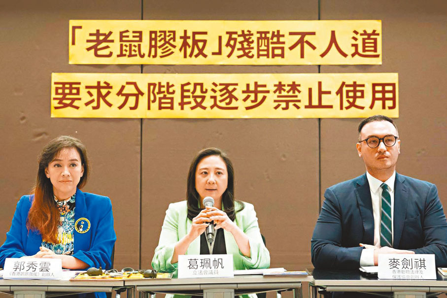 ◆葛珮帆指出，「老鼠膠板」會讓動物緩慢、痛苦地以極不人道的方式死去。