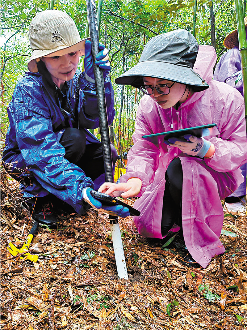 ◆女林勘隊員們在森林樣地開展調查監測。香港文匯報記者方俊明  攝