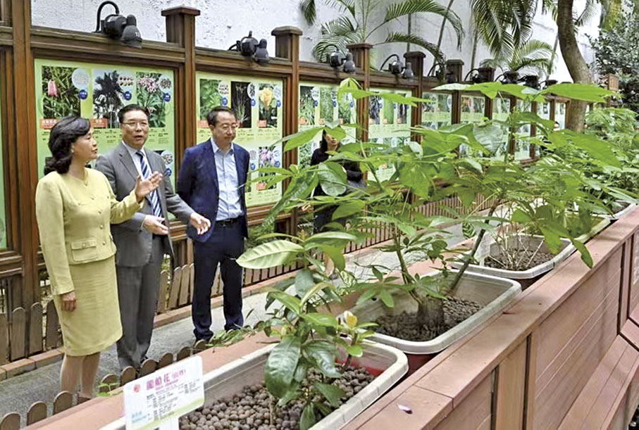 ◆余艷紅參觀上環百草中藥園。
