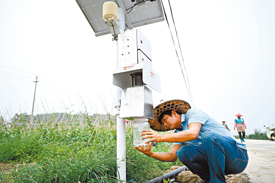 ◆ 用人工智能技術防治蟲害，是科學家的目標之一。圖為廣西農民觀察害蟲智能化捕捉設備的運行情況。資料圖片