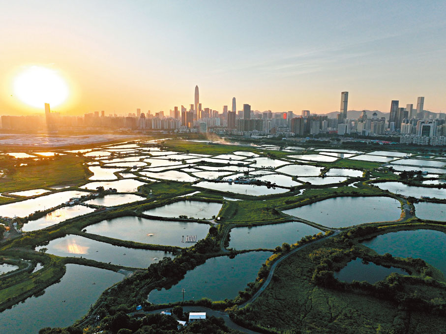 ◆ 新田科技城的發展大綱圖正式出台，當中300公頃將預留作創科發展。 香港文匯報記者  攝