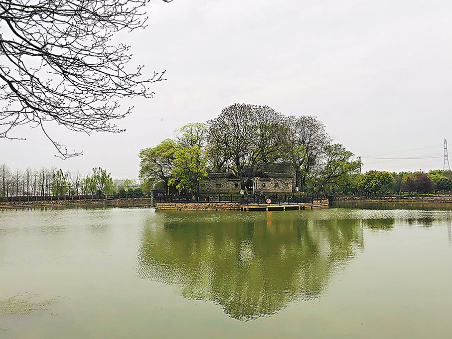 ◆劉老圩中專門用於學習的讀書島。