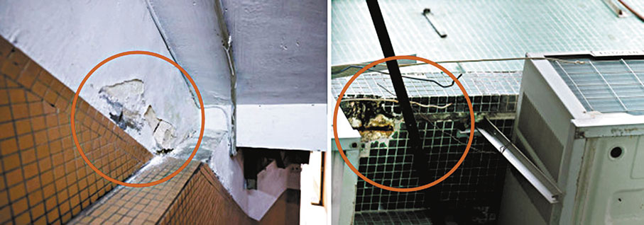 ◆大廈樓梯的牆身有批盪剝落（左圖紅圈）、外牆牆身瓦仔剝落、鋼筋外露（右圖紅圈）。 網誌圖片