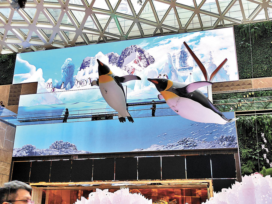 ◆企鵝游來游去，狀甚有趣。