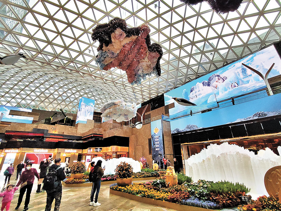 ◆在視博廣場中的空中海洋SHOW