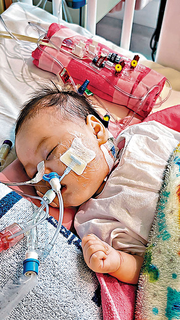 ◆芷希成功獲內地一名腦幹死亡小童捐出心臟。 資料圖片