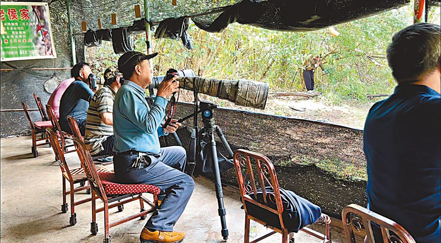 ◆觀鳥聖地百花嶺村每年吸引1萬多人次的戶外徒步和觀鳥愛好者。 香港文匯報雲南傳真