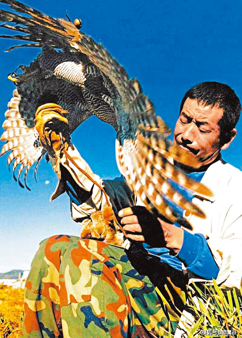 ◆蒙古大軍把「鷹獵」習俗傳到麗江。 作者供圖