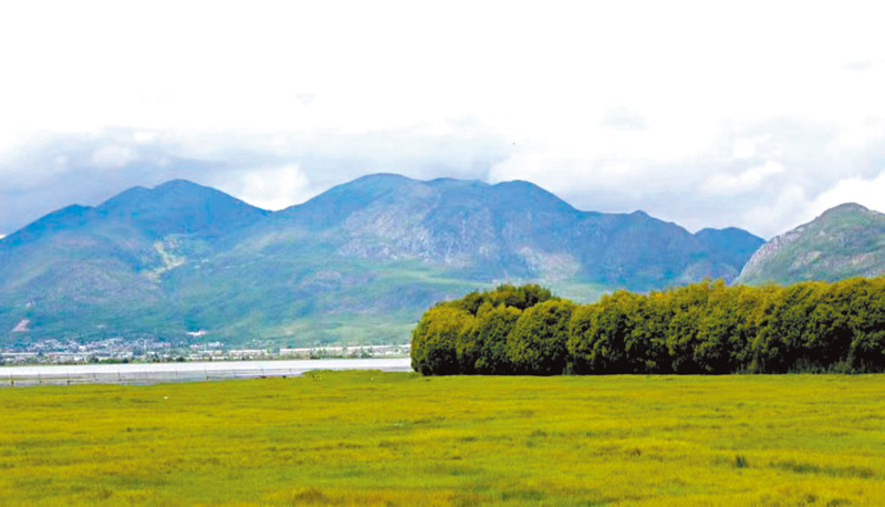 ◆拉市海。作者供圖