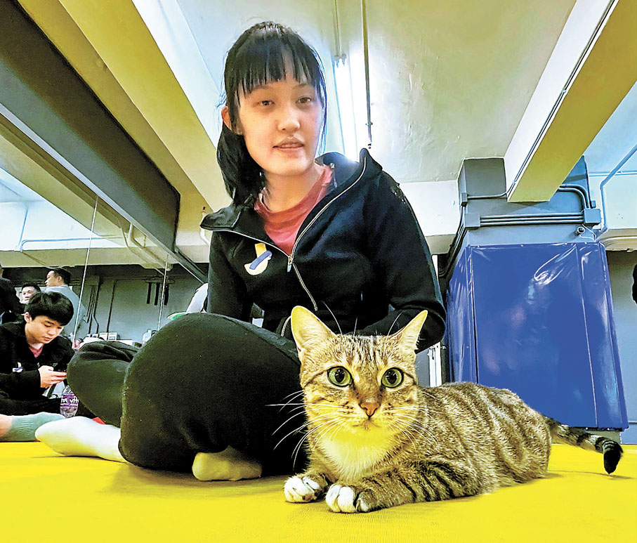 ◆香港柔道隊每日都有一位特別嘉賓「陪練」。