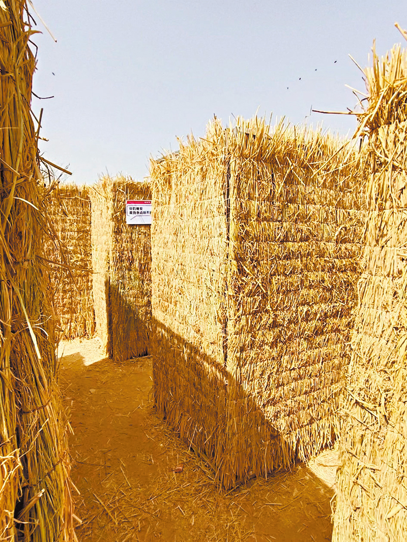 ◆稻草迷宮