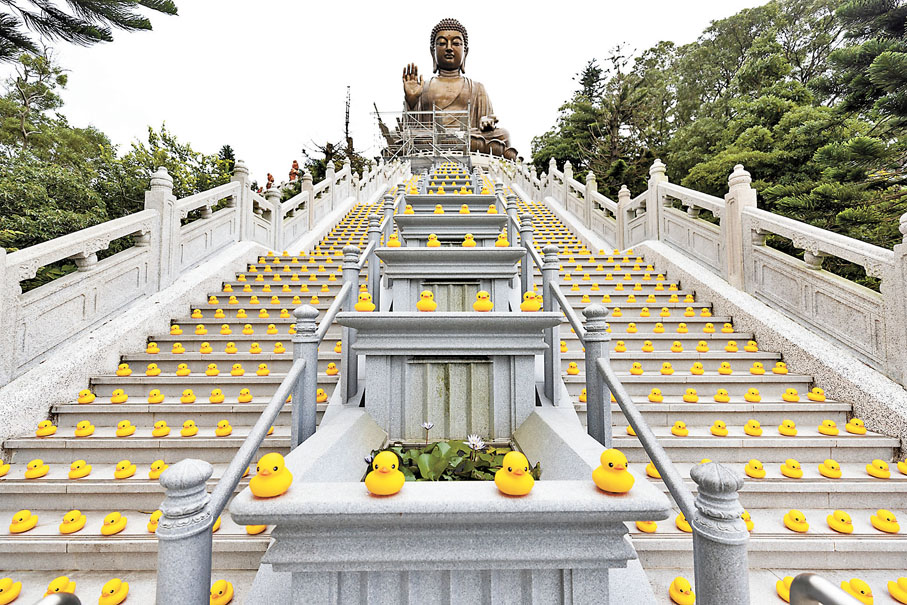 ◆40多位義工合力將5,000隻橡皮鴨整齊排列在天壇大佛前的268級石階上。昂坪360圖片