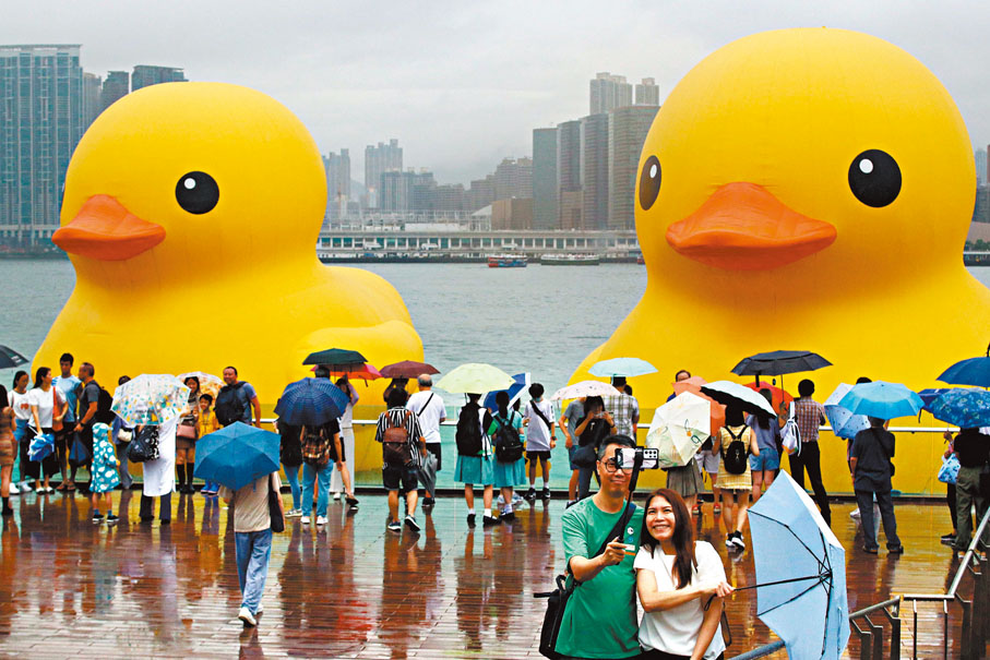 ◆ 連日雨天，無阻市民到金鐘與黃鴨合照打卡的熱情。香港文匯報記者北山彥  攝