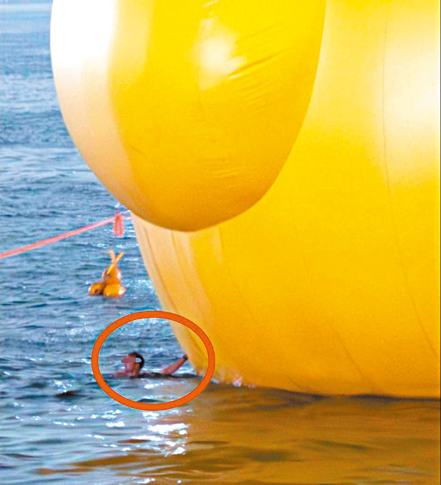 ◆ 有人游近觸摸黃鴨。主辦單位供圖