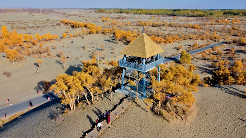 ◆新疆和田大漠湖楊旅遊區